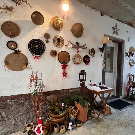 Studio Tout Confort 2 Personnes Au Coeur De L'Alsace Wolxheim Exterior foto