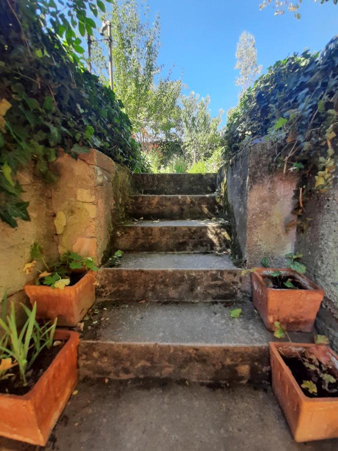 Apartment Confort 2 Personnes Au Coeur De L'alsace