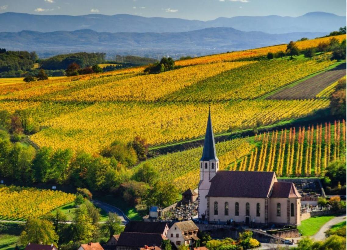 Confort 2 Personnes Au Coeur De L'alsace * Wolxheim